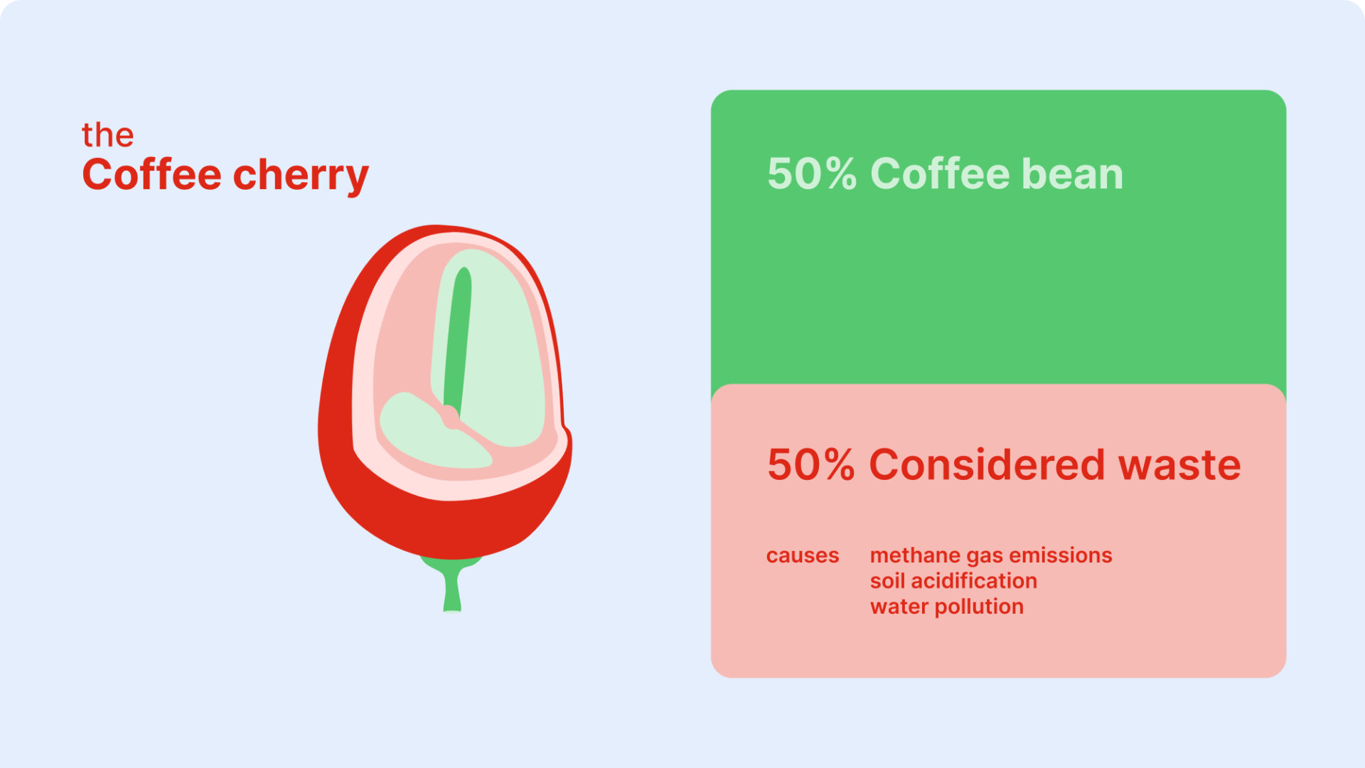 coffee-cherry